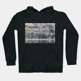 Spring Vista Hoodie